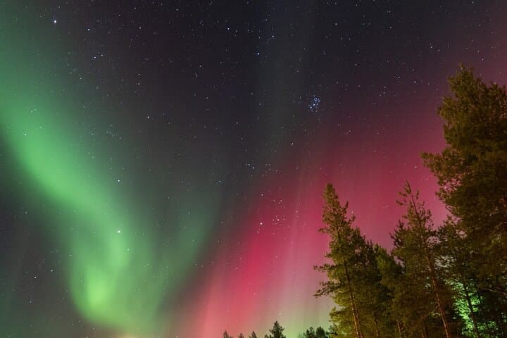 Guaranteed Aurora Hunting Tour from Rovaniemi with Local Guide