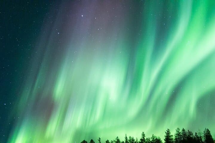 Guaranteed Aurora Hunting Tour from Rovaniemi with Local Guide