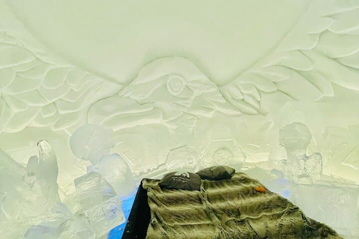 Rovaniemi: Explore the Magical Snow Hotel Sinetta