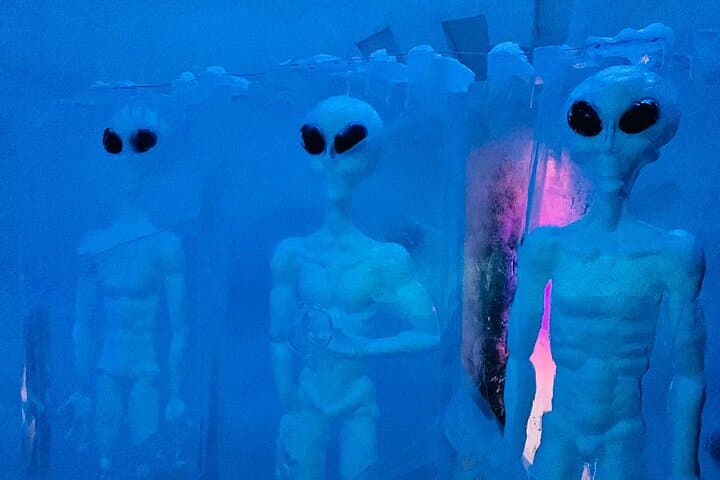 Rovaniemi: Explore the Magical Snow Hotel Sinetta
