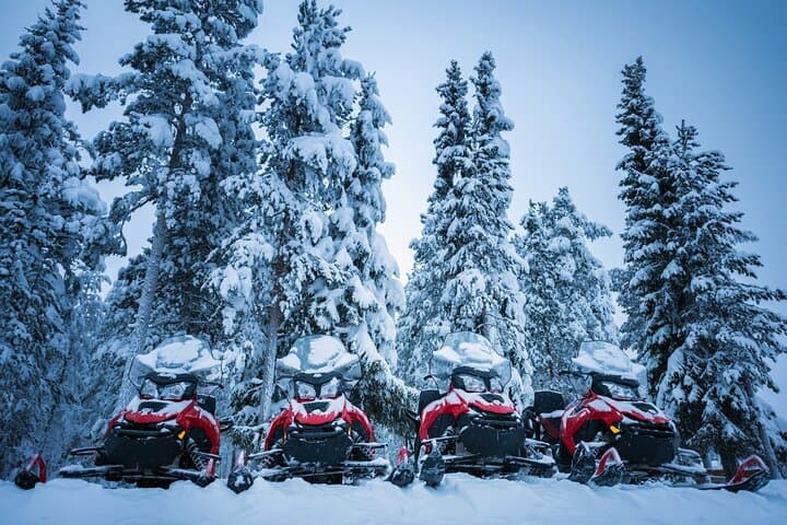 Private Tour Snowmobile Safari Winter - 1 Hour Driving