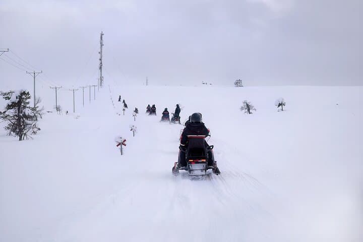 Private Tour Snowmobile Safari Winter - 1 Hour Driving