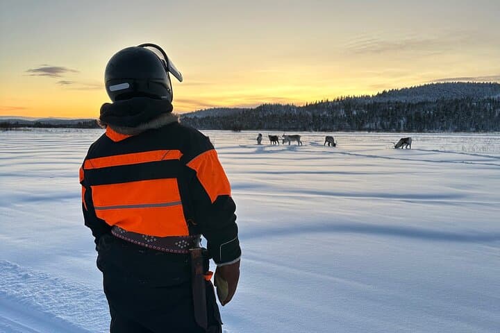 Our our tour you have good change to see reindeers in the Lake