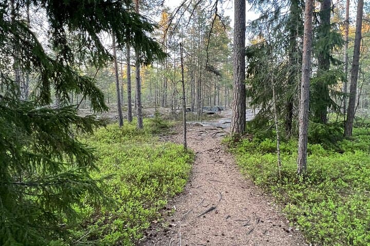 Nuuksio Forest Bathing Escape – From City to Serenity