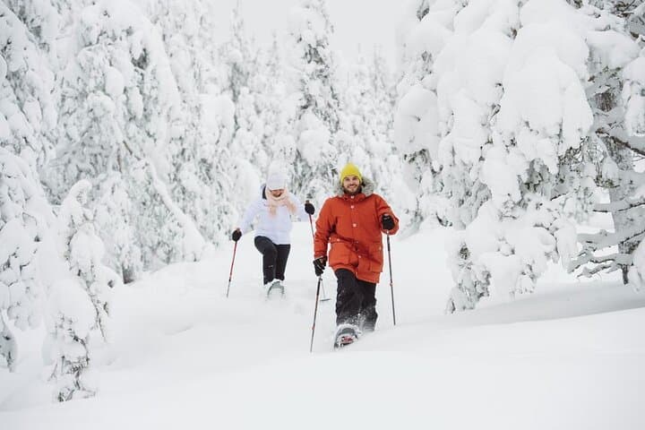 Snowshoeing in wildness