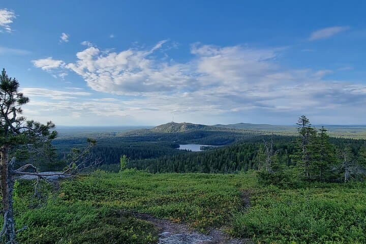 Walking in the Midnight Sun in Riisitunturi National Park