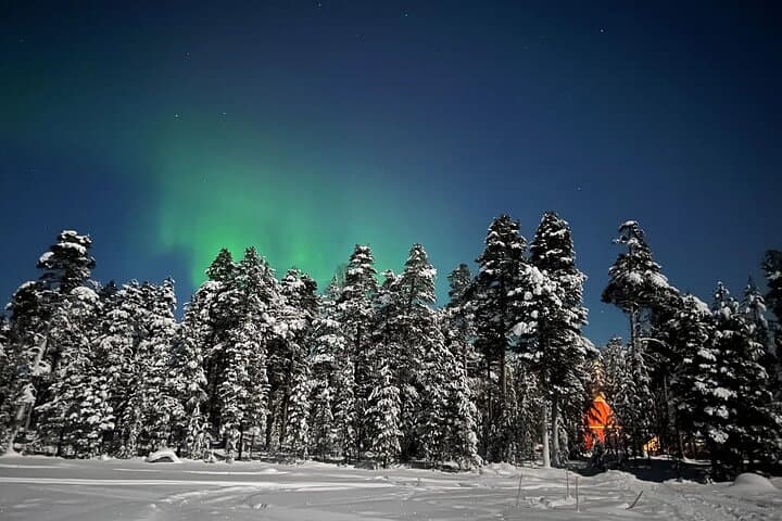 Aurora Camp and Open Fire Dinner