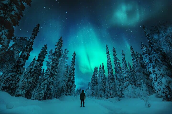 Aurora Camp and Open Fire Dinner