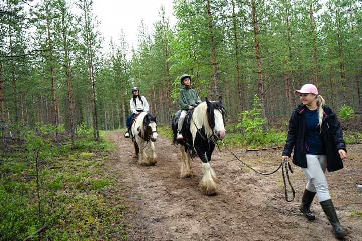 Horse Riding: a Summer Adventure in Lapland