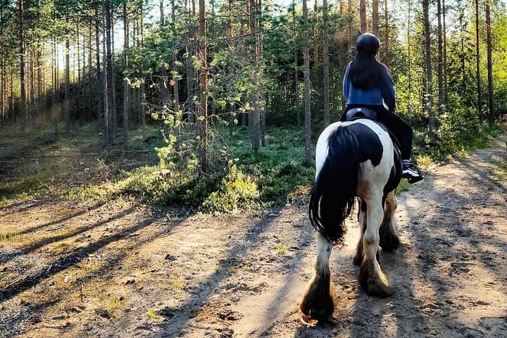 Horse Riding: a Summer Adventure in Lapland