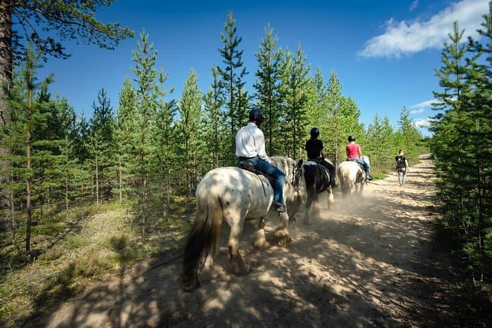 Horse Riding: a Summer Adventure in Lapland