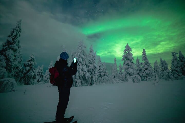 Small-Group Night Snowshoeing Experience in Rovaniemi