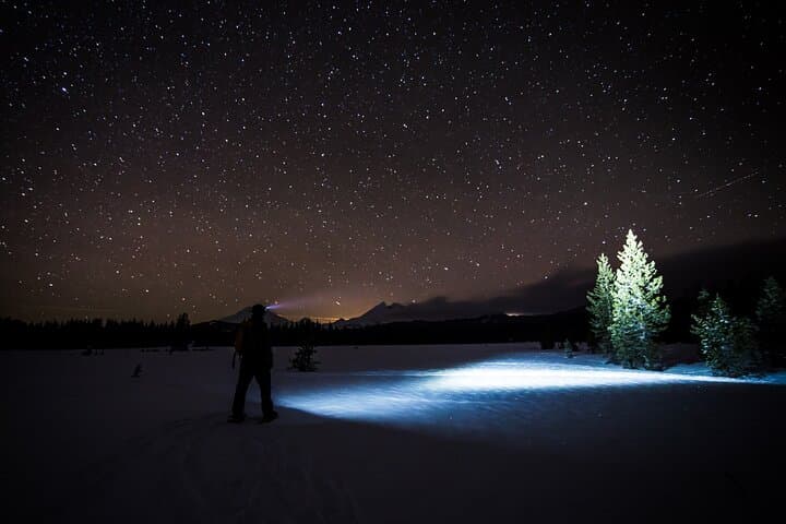 Small-Group Night Snowshoeing Experience in Rovaniemi