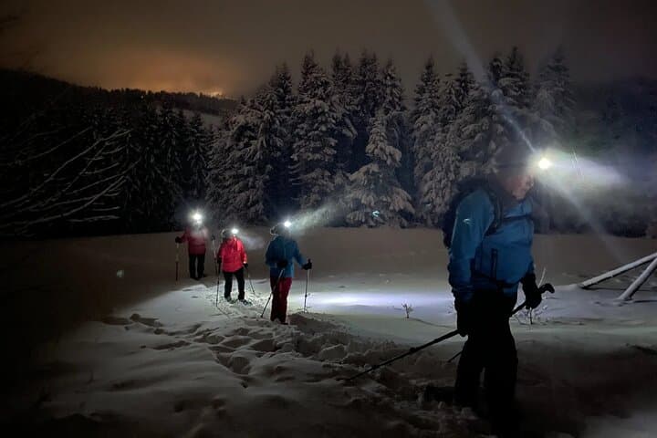 Small-Group Night Snowshoeing Experience in Rovaniemi