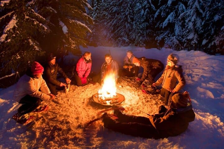 Small-Group Night Snowshoeing Experience in Rovaniemi