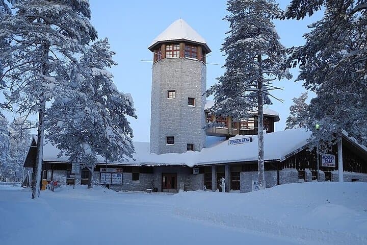 Ranua Arctic Zoo - A Guided Day Tour From Rovaniemi