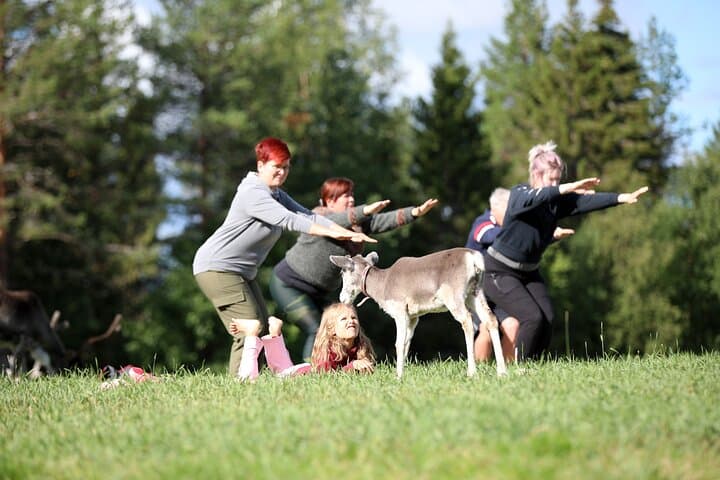 Reindeer yoga