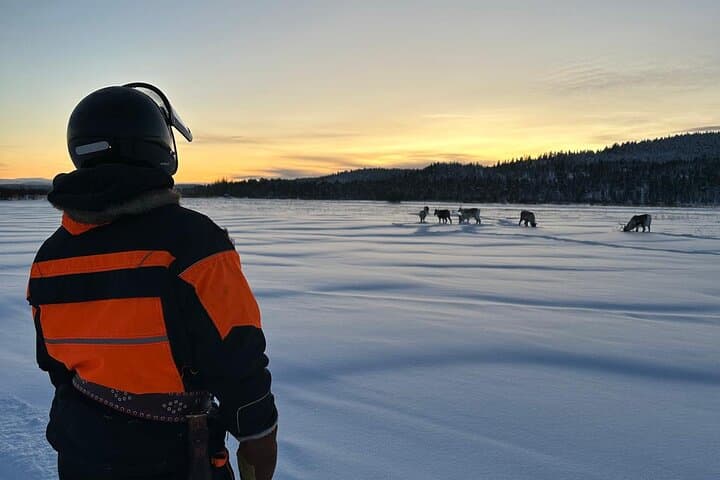 On the way to our secret Ice Fishing place, you have possibility to see reindeers