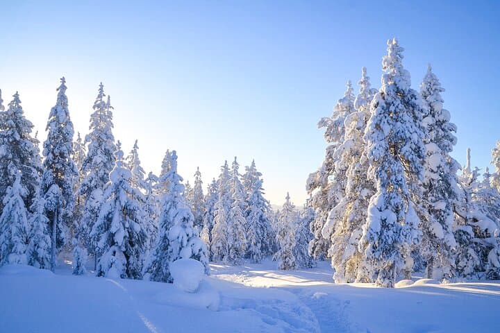 Winter scenery of Finnish Lapland