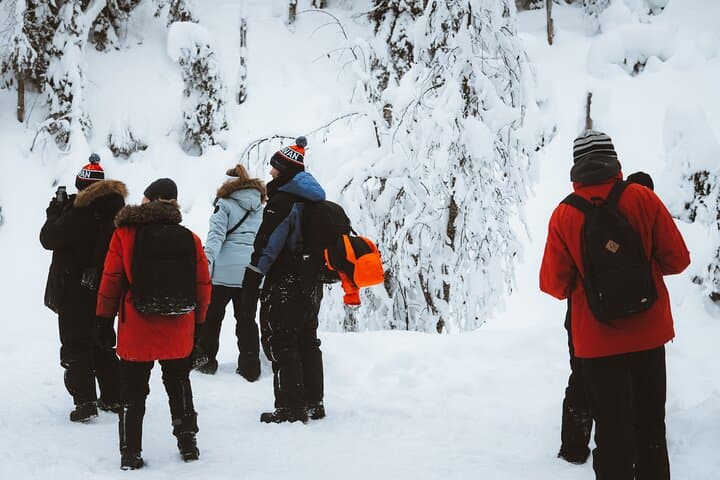 Exploring Arctic wilderness