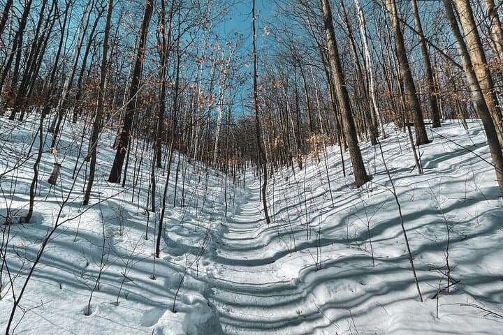 Snowshoeing tour with Wild Lunch