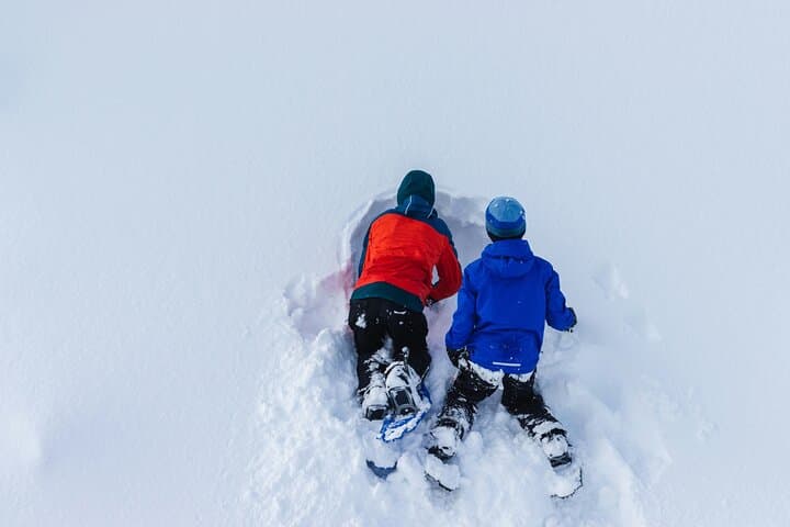 Snowshoeing tour with Wild Lunch