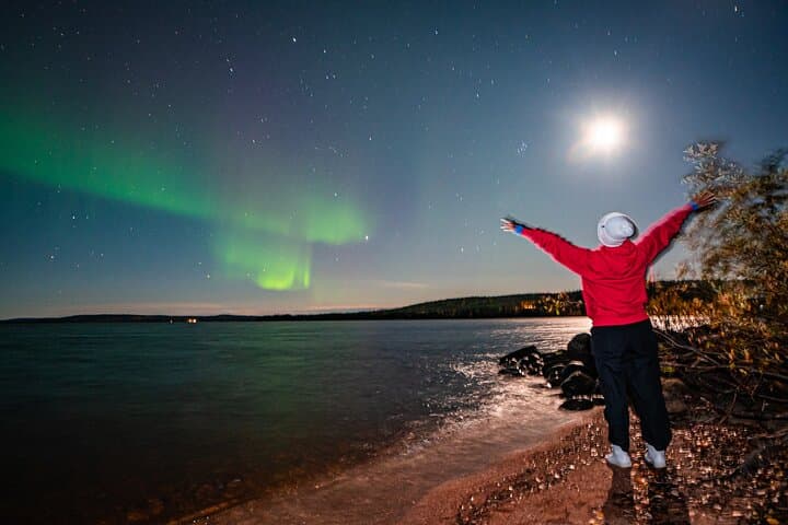 Rovaniemi: Private Aurora Hunting Tour