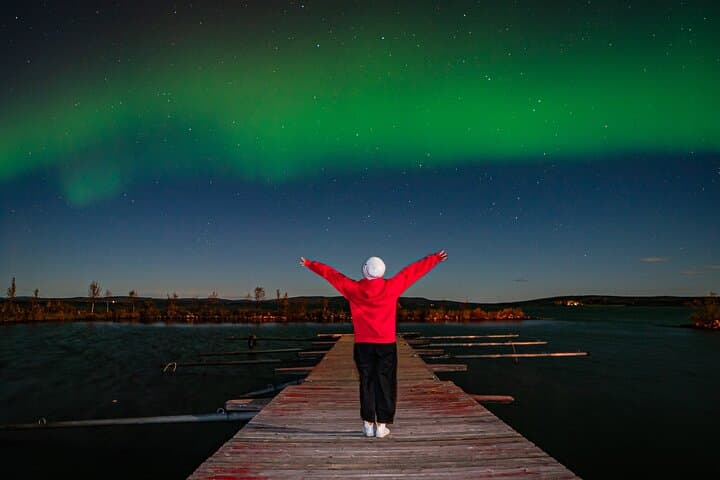 Rovaniemi: Private Aurora Hunting Tour