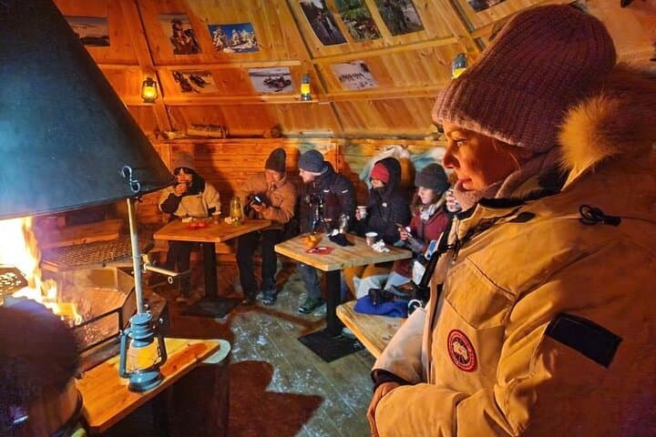 Lapland In A Day - Reindeer, Sledding, Snowmobile & Nature