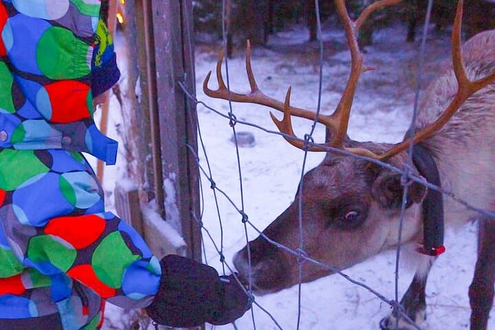 New Year Holiday in Finland for 8 Days and 7 Nights