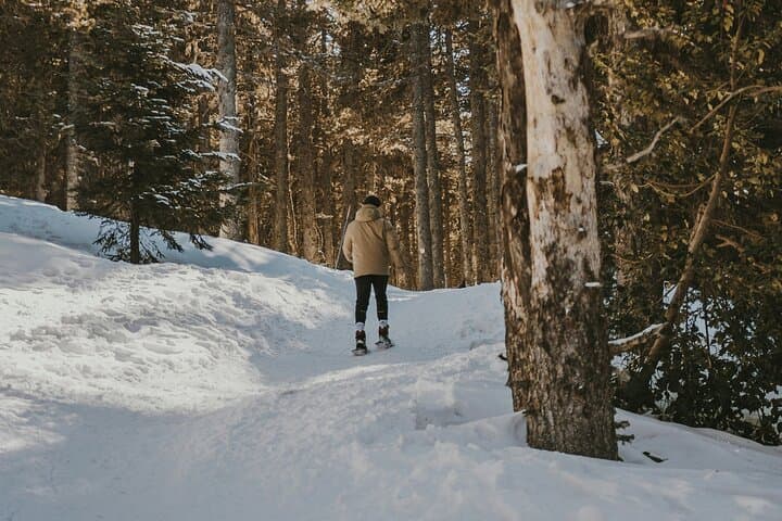 Arctic Darkness & Starlight Adventure with Snowshoes