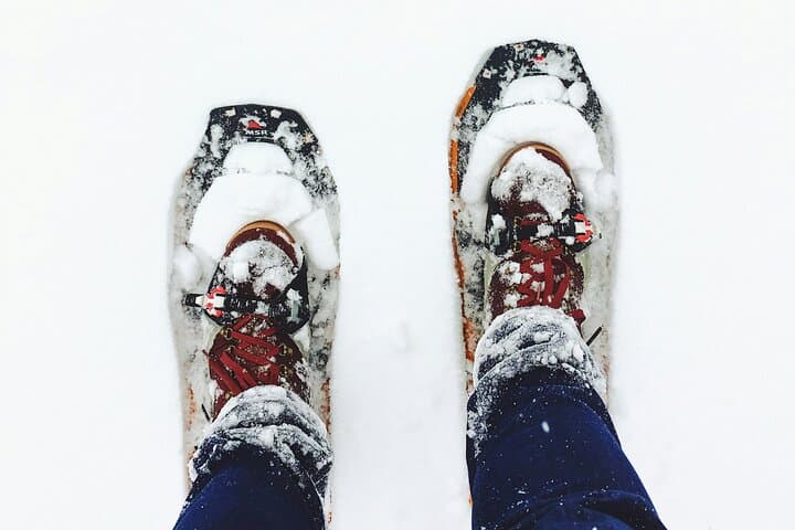 Arctic Darkness & Starlight Adventure with Snowshoes