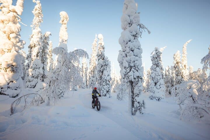 Amethyst Mine Tour by Electric Fatbike