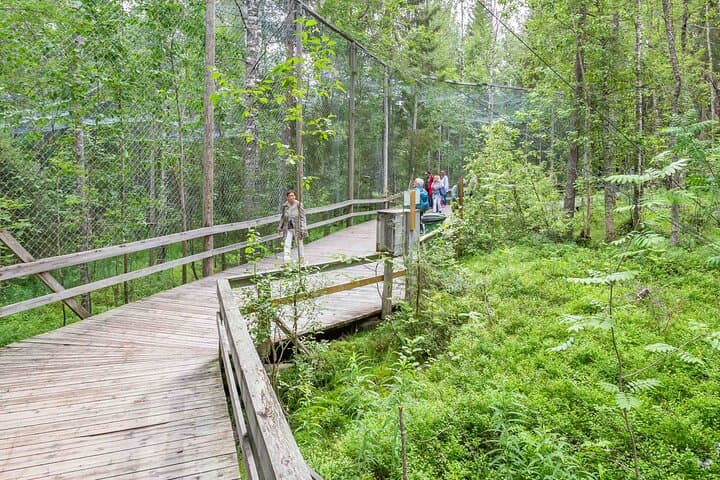 Rovaniemi: Insider Guided Group Tour to Ranua Zoo