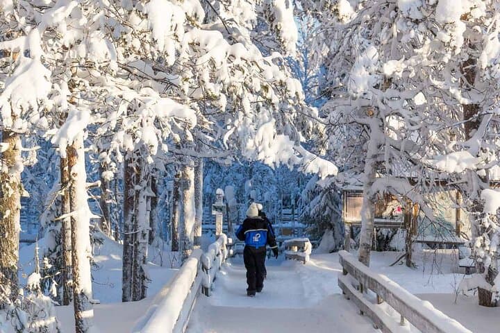 Rovaniemi: Insider Guided Group Tour to Ranua Zoo