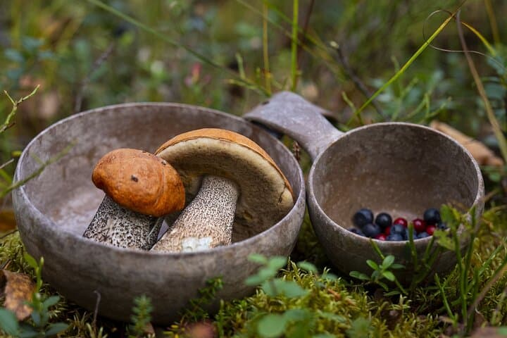 Lapland Cooking Workshop