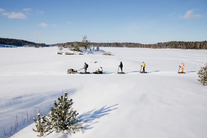 Safari on frozen lake
