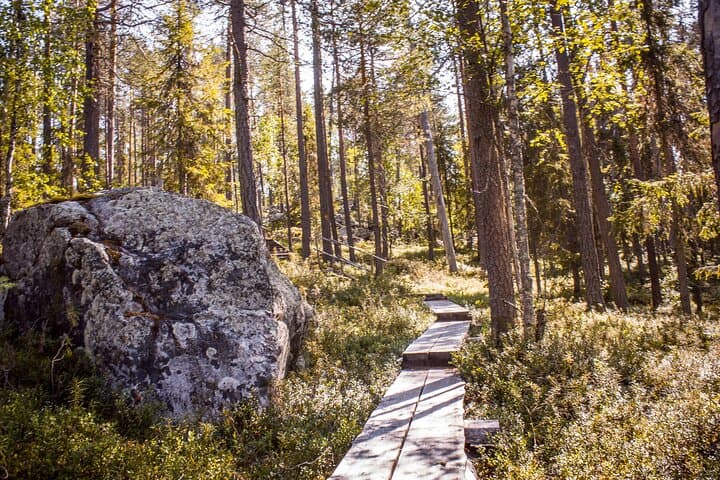 Auttiköngäs Waterfalls & Nature Trail