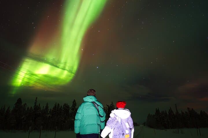 Rovaniemi Insider: Private Aurora Hunting Trip