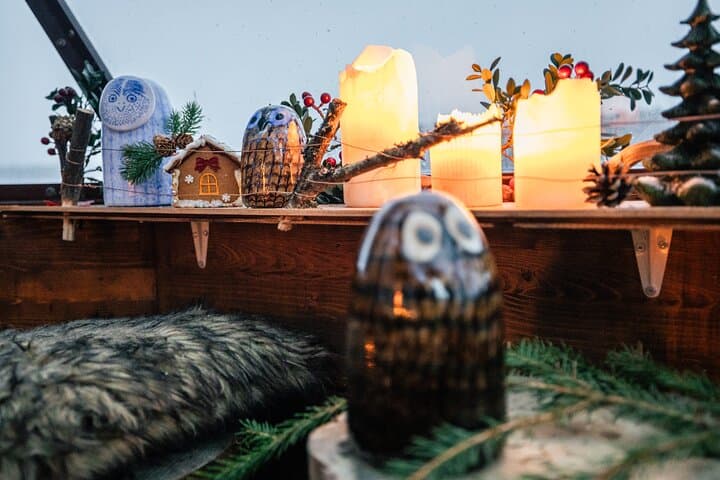 VIP Lapland: Santa Village, Glass Igloo Lunch & Snow Scooters