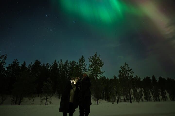 Aurora Hunting by Minivan in Ivalo, Inari or Saariselkä