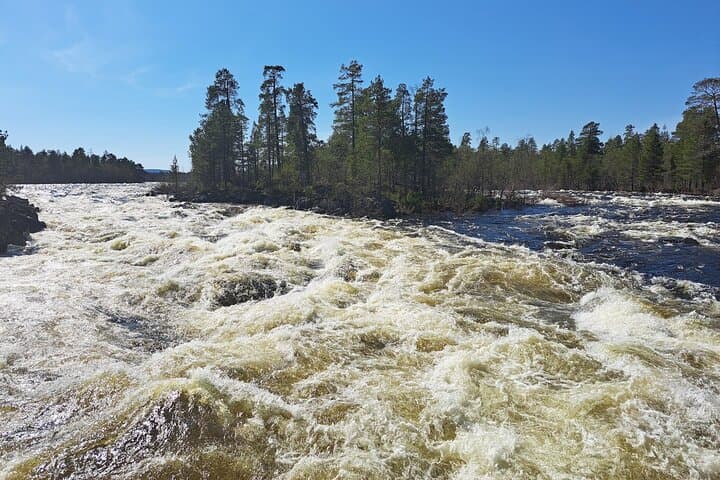 Inari Day Trip: Explore Janiskoski & Sámi Museum Siida
