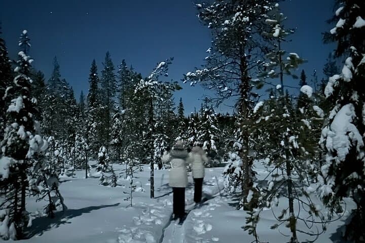 Nocturnal Skiing: Experience the Arctic's Magic