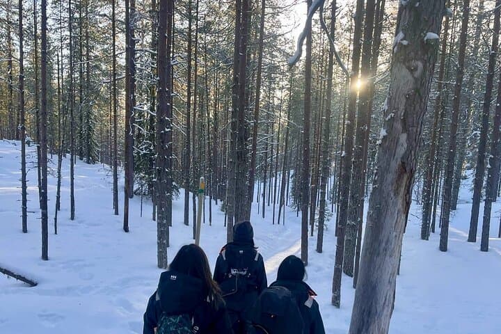 Rovaniemi: Korouoma Frozen Waterfalls Hike with Hot BBQ Lunch