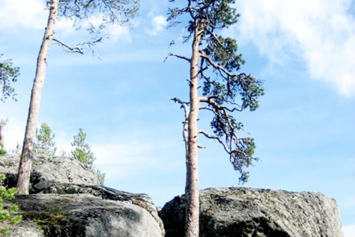 Rovaniemi Devils Churns Sculptures