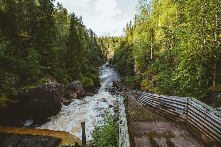 From Rovaniemi: Full Day Tour to Lapland's Attractions 5in1