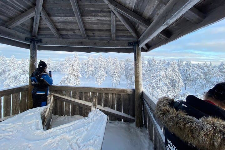 Rovaniemi: Snowshoe Adventure at Vikaköngäs & Barbeque