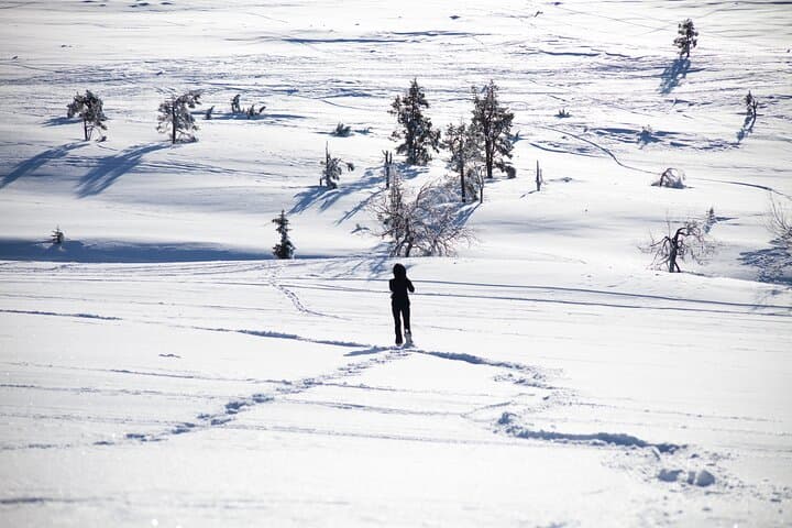 Private: Snowshoeing Safari in spectacular National Park