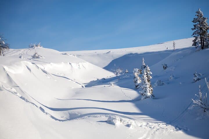 Private: Snowshoeing Safari in spectacular National Park