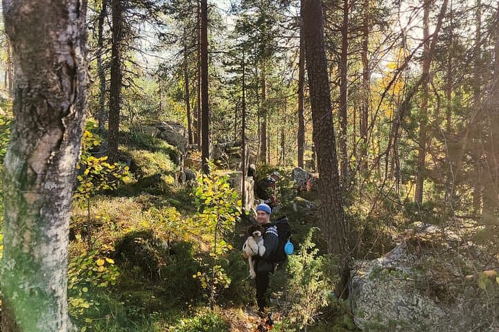 Rovaniemi: Insider Summer Hiking & Caves Tour Kätkävaara